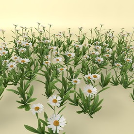 花草模型 植物模型 花卉模型