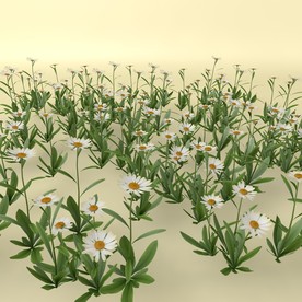 花草模型 植物模型 花卉模型