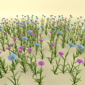 花草模型 植物模型 花卉模型