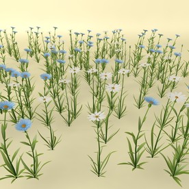 花草模型 植物模型 花卉模型