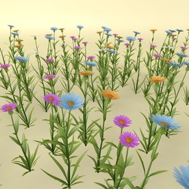 花草模型 植物模型 花卉模型