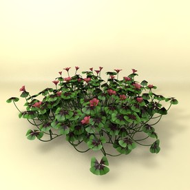 花草模型 植物模型 花卉模型