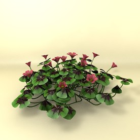 花草模型 植物模型 花卉模型