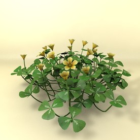 花草模型 植物模型 花卉模型