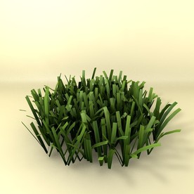 花草模型 植物模型 花卉模型