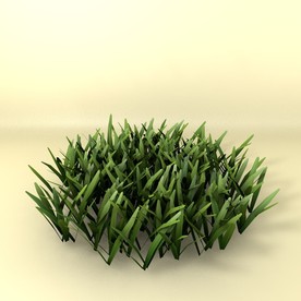 花草模型 植物模型 花卉模型