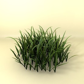 花草模型 植物模型 花卉模型