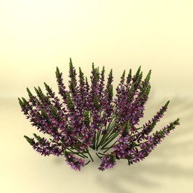 花草模型 植物模型 花卉模型