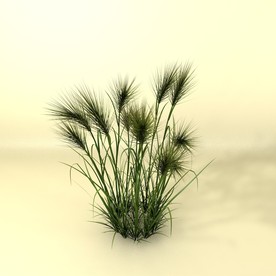 花草模型 植物模型 花卉模型