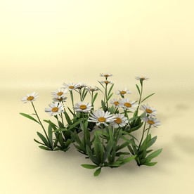 花草模型 植物模型 花卉模型