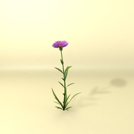 花草模型 植物模型 花卉模型