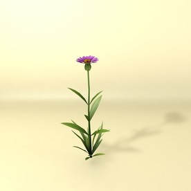 花草模型 植物模型 花卉模型