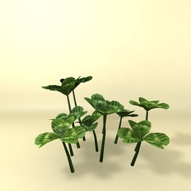 花草模型 植物模型 花卉模型