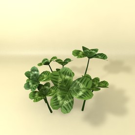 花草模型 植物模型 花卉模型