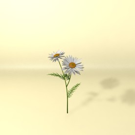 花草模型 植物模型 花卉模型