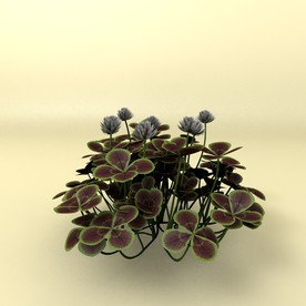 花草模型 植物模型 花卉模型