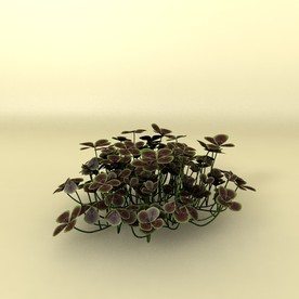 花草模型 植物模型 花卉模型