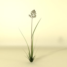 花草模型 植物模型 花卉模型