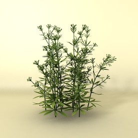 花草模型 植物模型 花卉模型