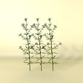 花草模型 植物模型 花卉模型