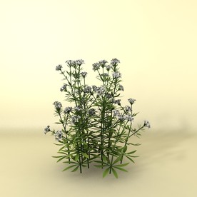 花草模型 植物模型 花卉模型