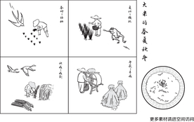 大米 春种秋收 插画