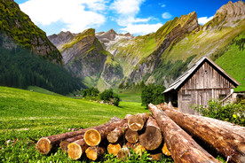 高山上的小木屋