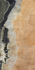 爵士白 鱼肚白 卡拉拉白 雅士