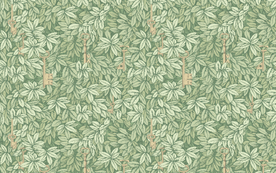 手绘密钥钥匙树林树叶背景