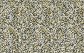 手绘密钥钥匙雨林树叶