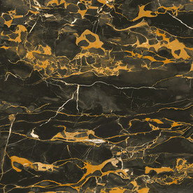 黑金花 黑金线瓷砖高清