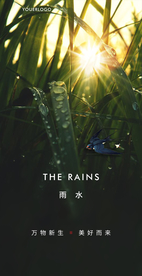 雨水微信