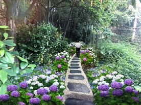 绣球景观步道景观设计