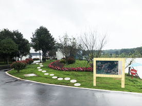 乡村绿化景观设计效果图