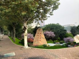 校园绿化景观设计效果图