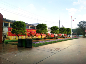 乡村道路景观设计效果图