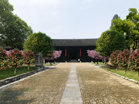 茶花桂花绿化改造景观设计