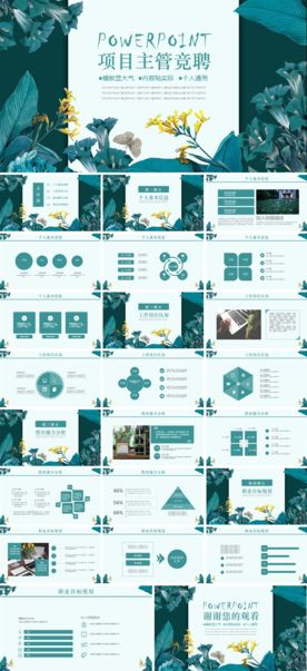 求职学生个人简历PPT素材
