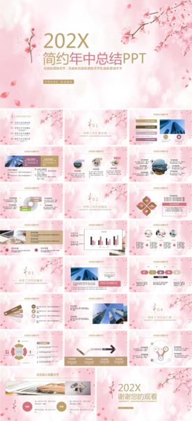 商务会议汇报项目介绍PPT