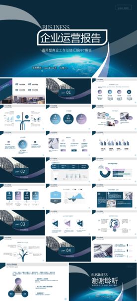 商务会议汇报项目介绍PPT