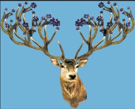 梅花鹿 蓝色花
