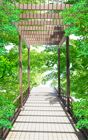 树林风景玄关过道