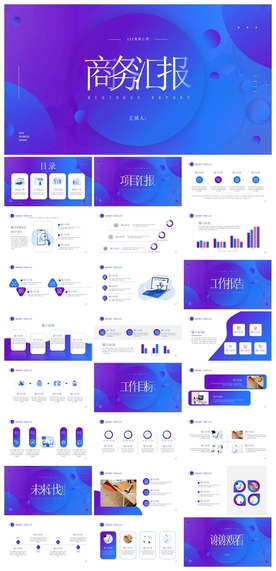 商务会议汇报项目介绍PPT