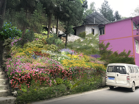 乡村山坡花境景观设计效果图