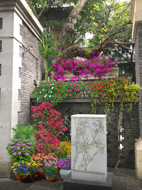 乡村花境景观设计效果图