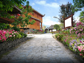 民宿花境景观设计效果图