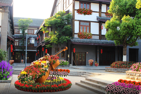 2020乡村花境景观