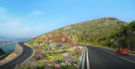 2020道路花境