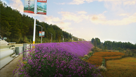 乡村花境景观设计