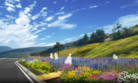 乡村道路花境景观设计